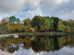 étang