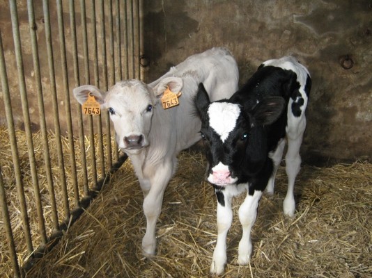 Photo n° 9 of the location