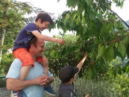 NOS VACANCIERS SE REGALENT DANS LE JARDIN DU GITE