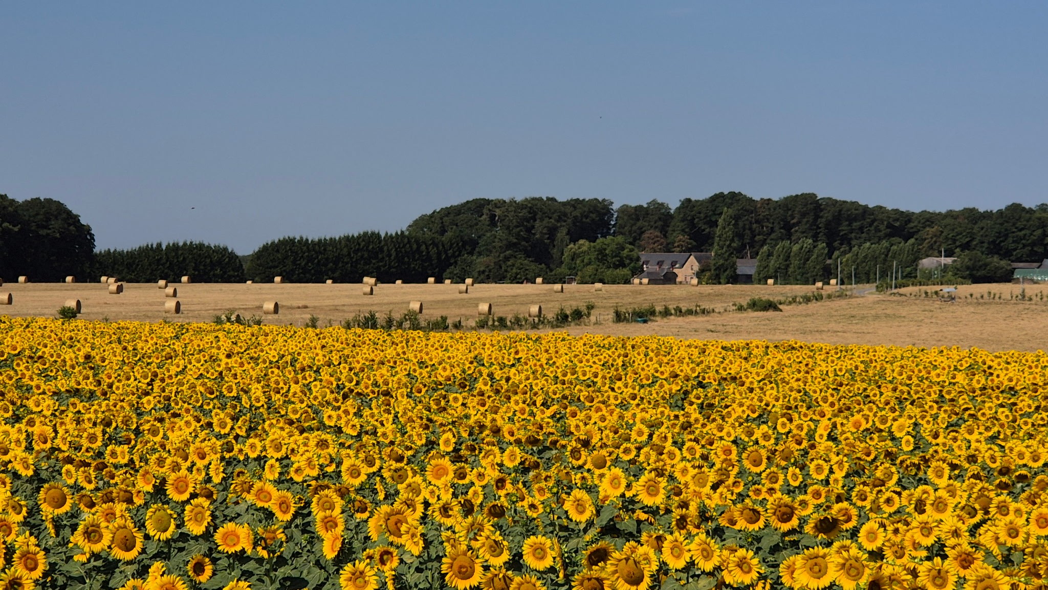 Photo n° 17 of the location