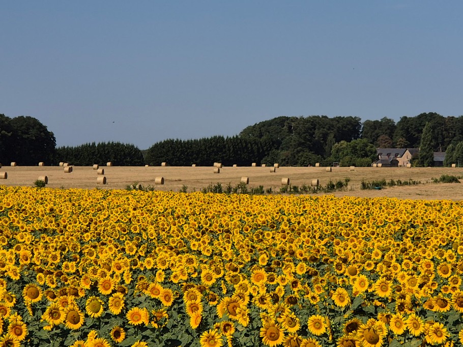 Photo n° 17 of the location