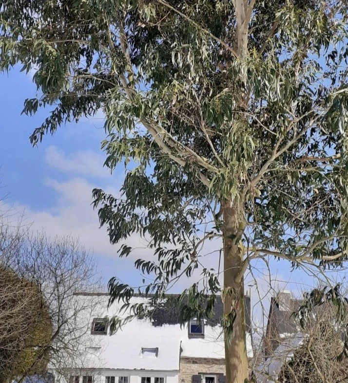 Photo n° 16 of the location