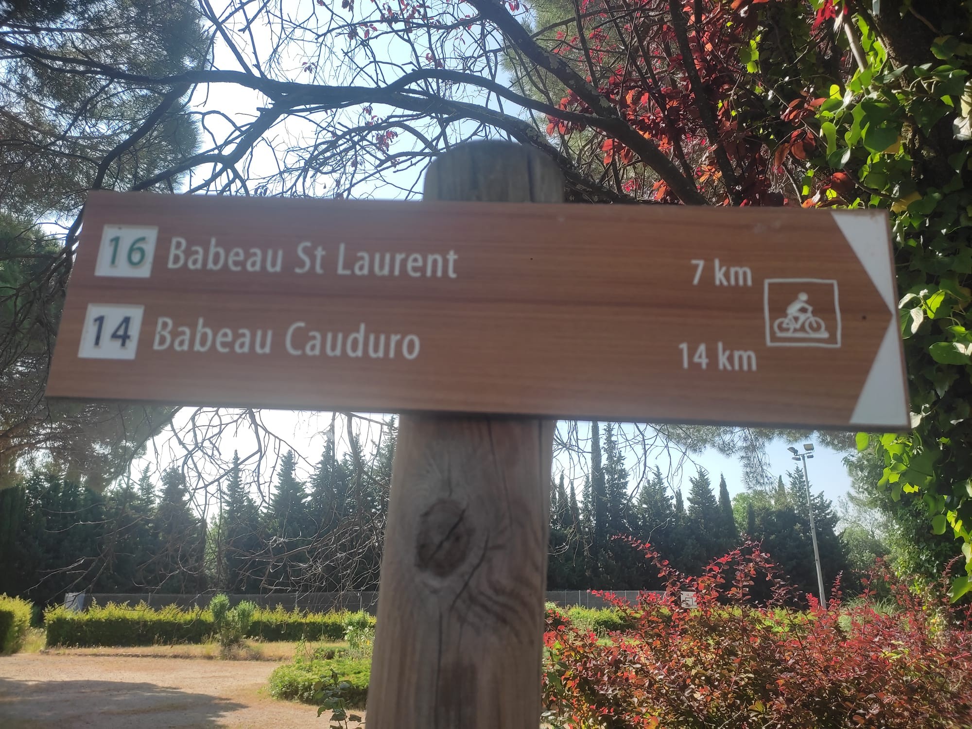 Photo n° 16 de la location