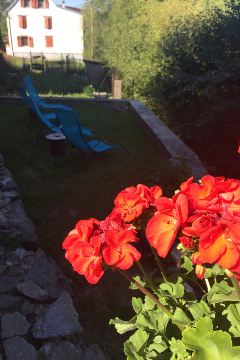 Photo n° 14 de la location