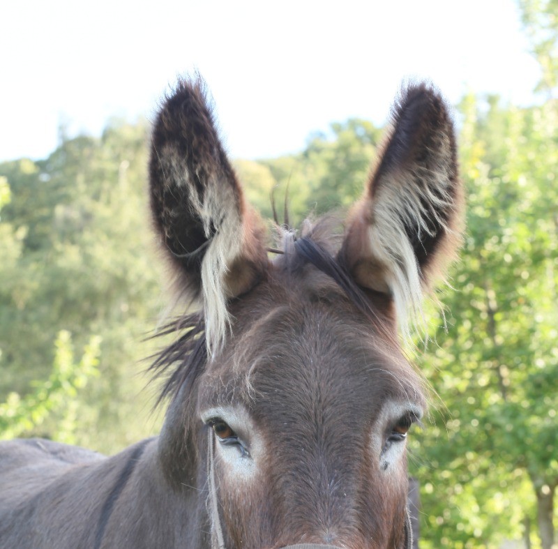 Bonjour ,Moi c'est Huguette ...et Vous ?