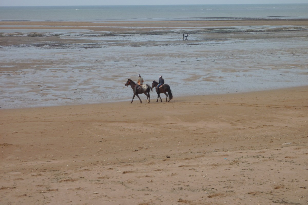 Photo n° 9 de la location