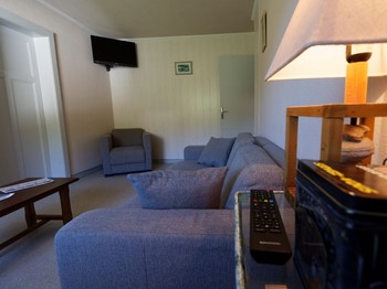 Salon - Appartement Jonquille - Gîtes Les Chantenées La Bresse
