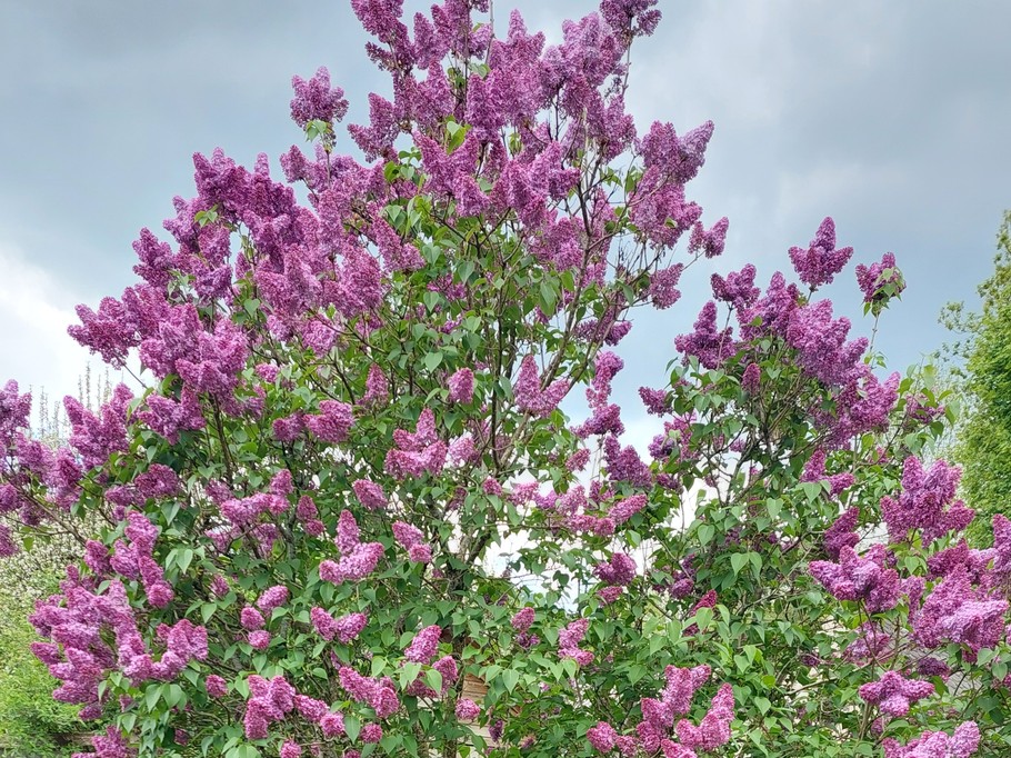 Photo n° 19 de la location