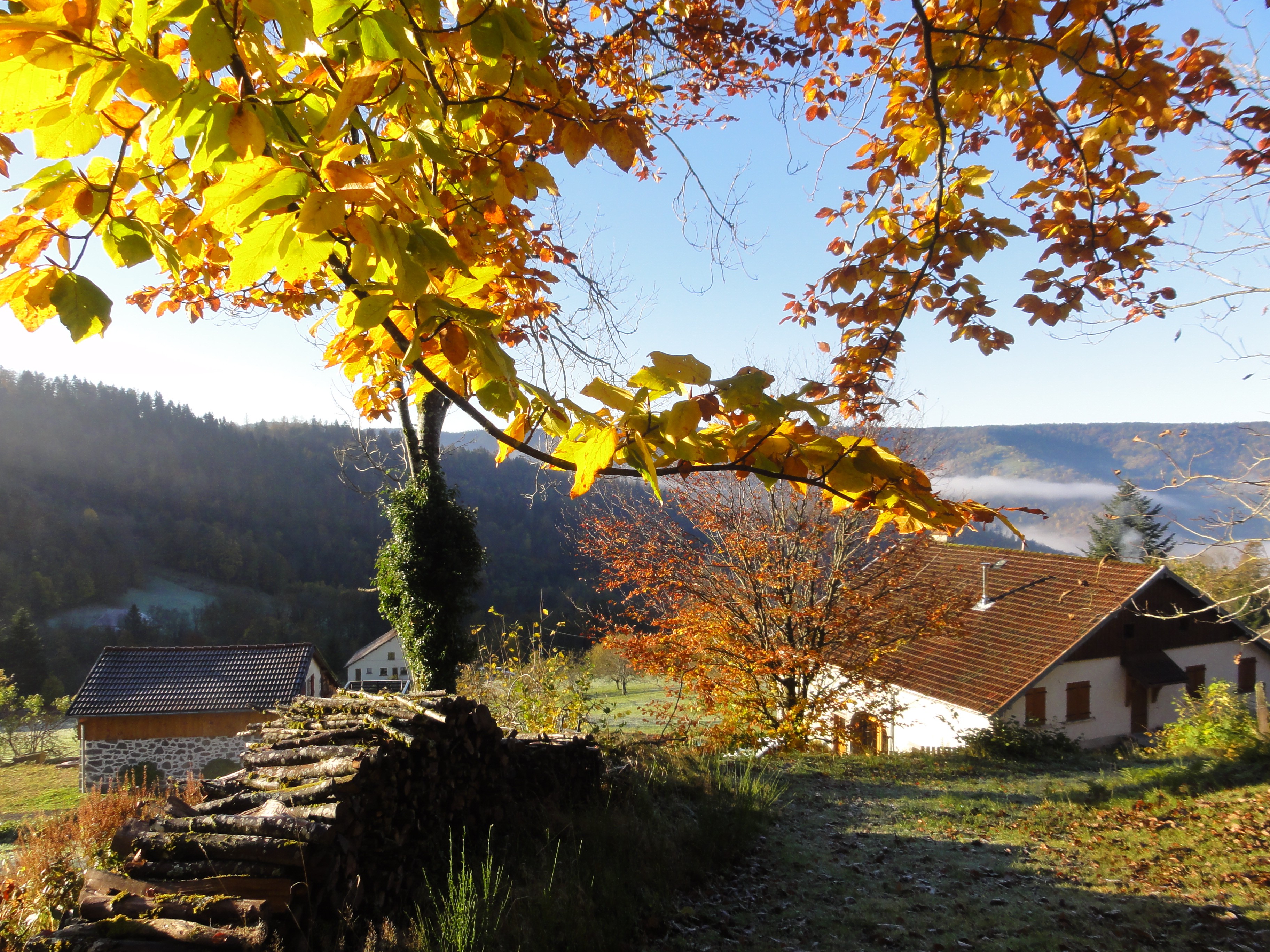 lumières d'automne