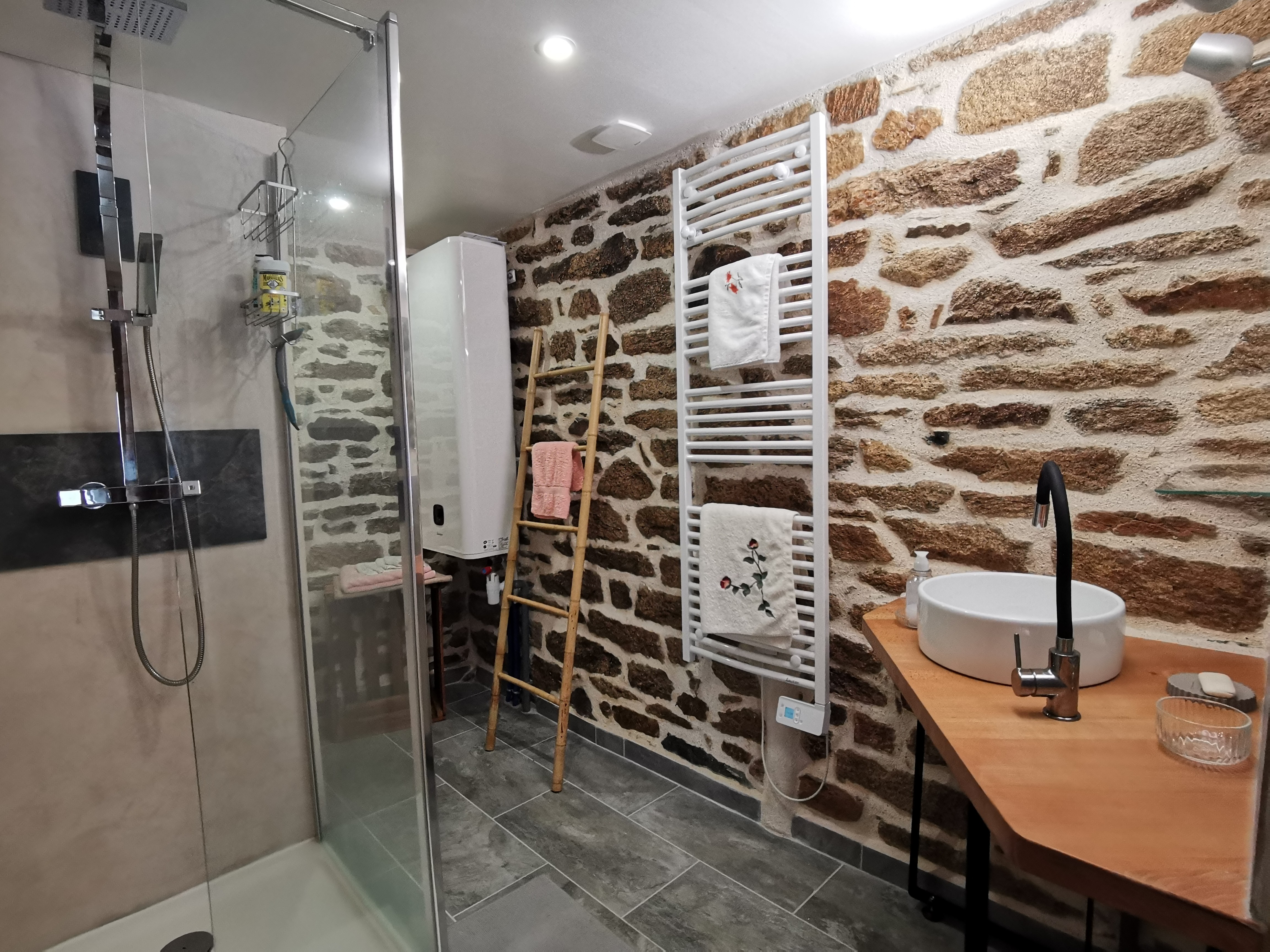 RDC : salle d'eau avec WC