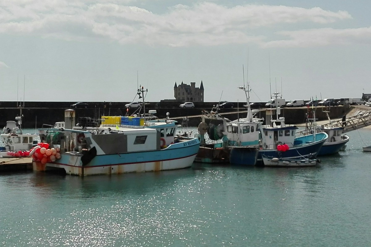 Quiberon - port de pêche