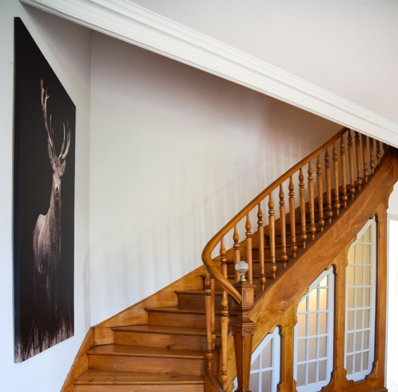 Photo n° 18 de la location