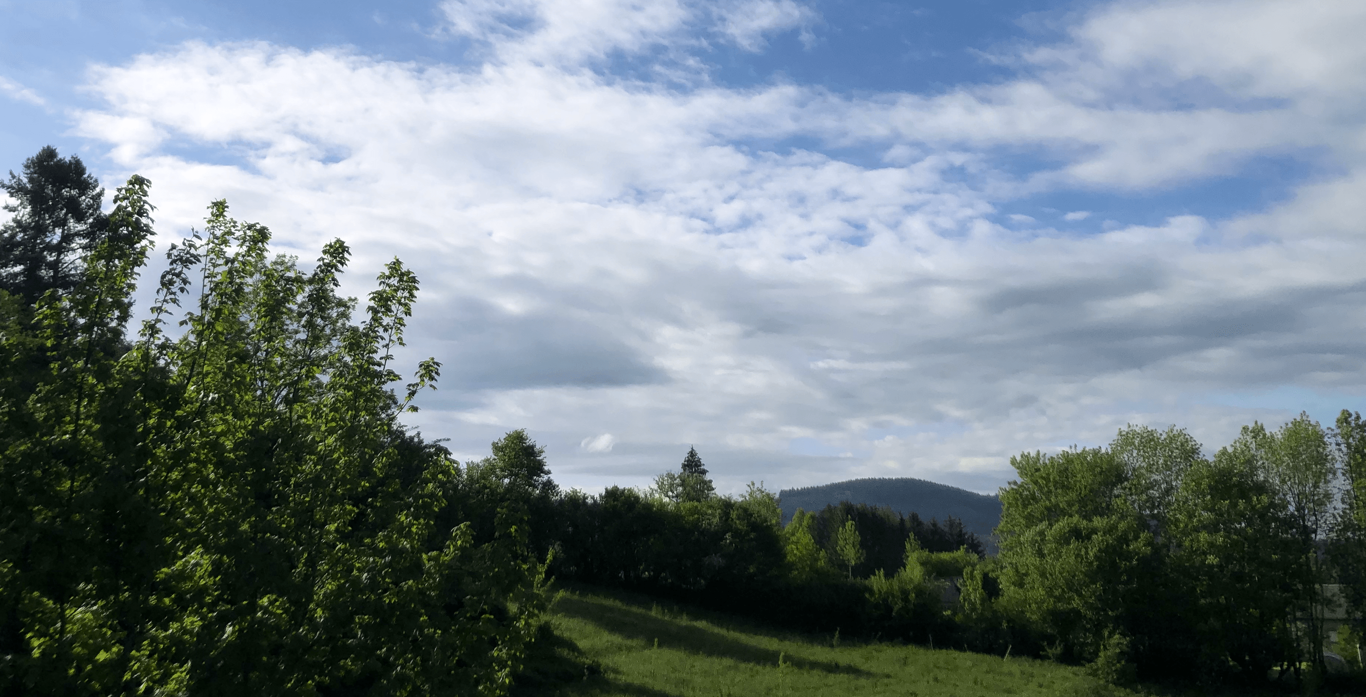 Le pré et les montagnes vues de la maison
