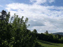 Le pré et les montagnes vues de la maison
