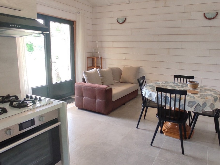 La Cabane 2 la Vigne - Piece de vie