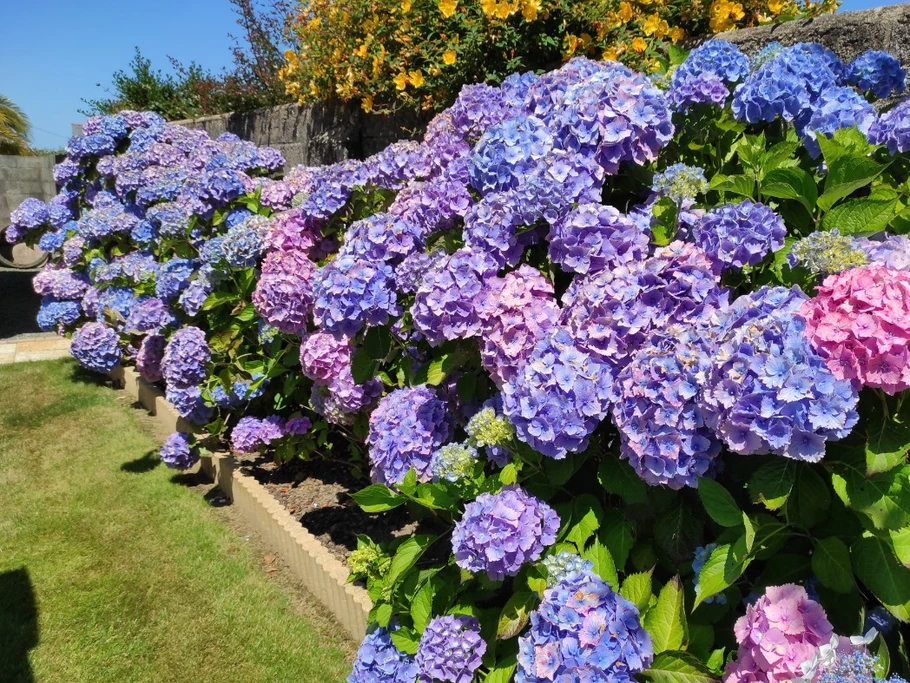 Photo n° 19 de la location