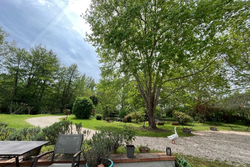 Photo n° 18 de la location