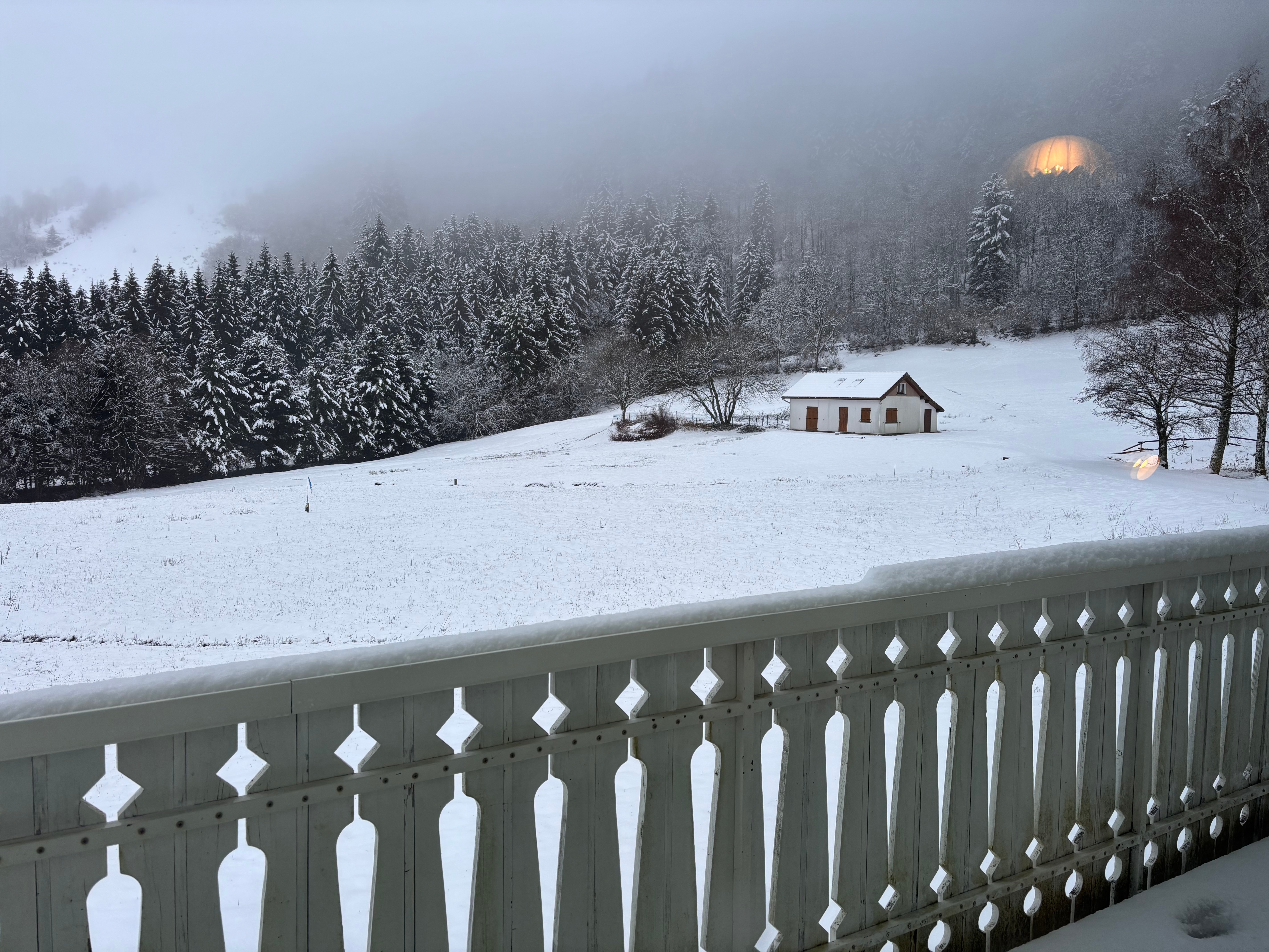 Vue depuis le balcon  - Chalet Le Paiquis - La Bresse