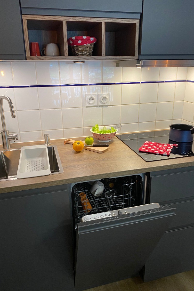 Cuisine intégrée avec lave-vaisselle, plaque à induction, hotte