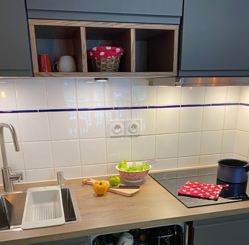 Cuisine intégrée avec lave-vaisselle, plaque à induction, hotte