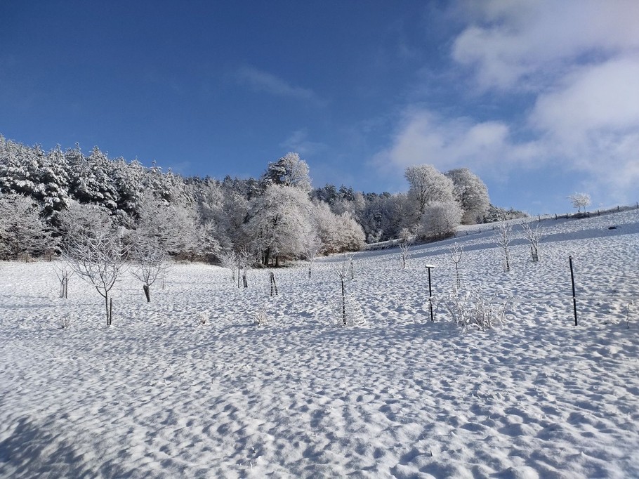 Face au gîte Chez Louis