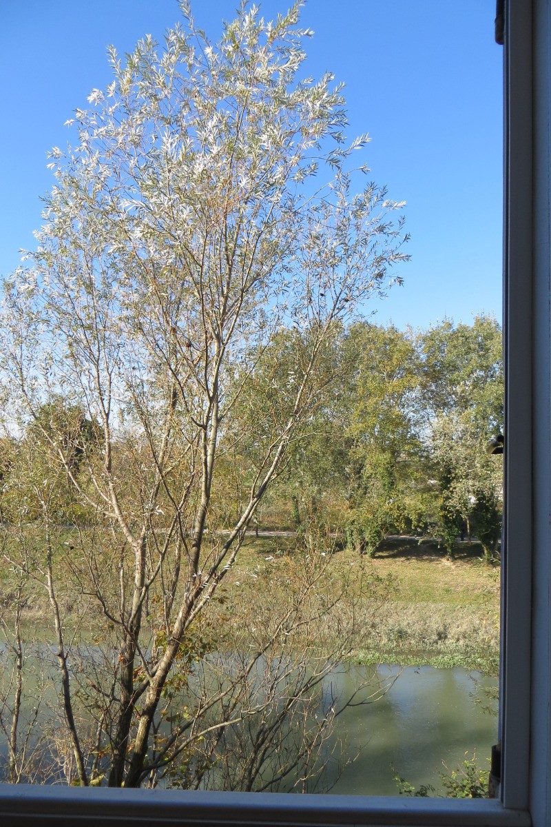 La chambre verveine. Vue de la fenêtre.