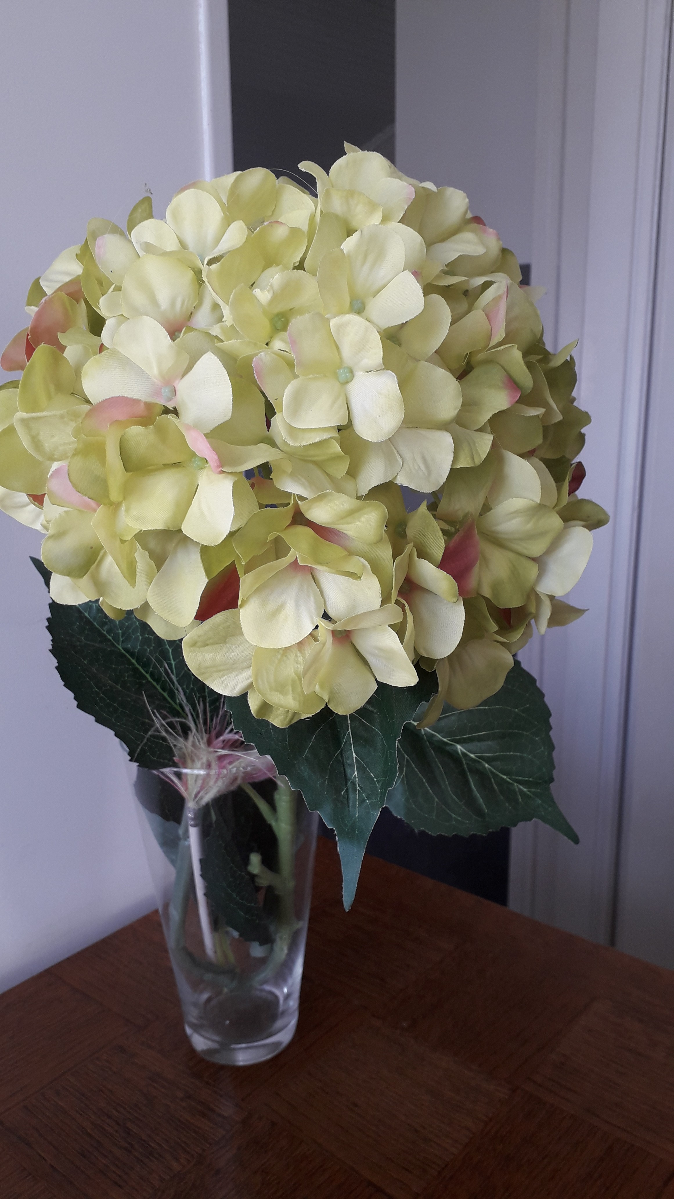 Hortensia - Saint Pierre Brouck - Nord 59