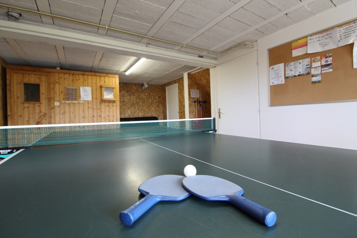 Espace détente avec table de ping-pong - Maison à Fraize