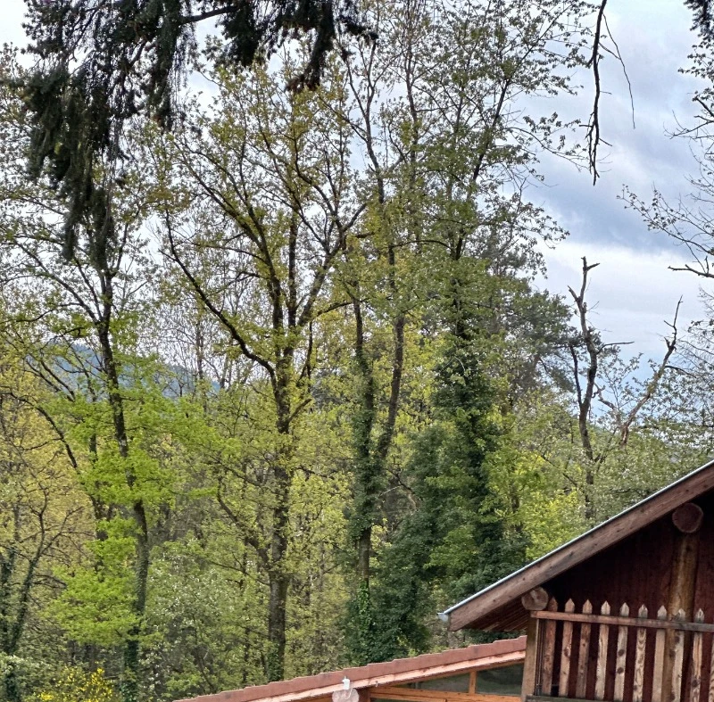 Photo n° 16 of the location