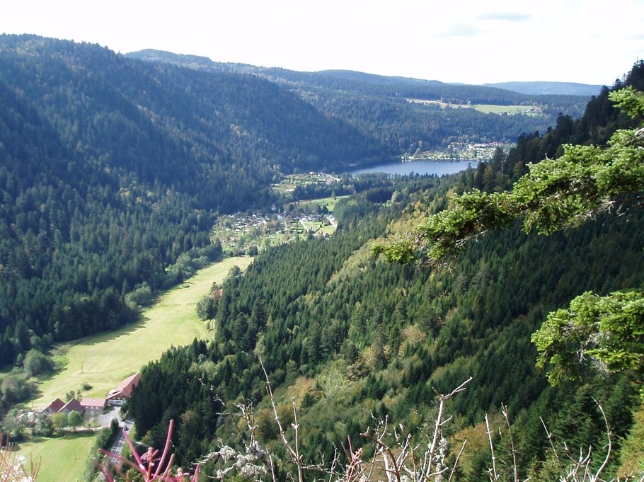 La vallée - Maison au calme entre Gérardmer et La Bresse – Proche lac de Retournemer