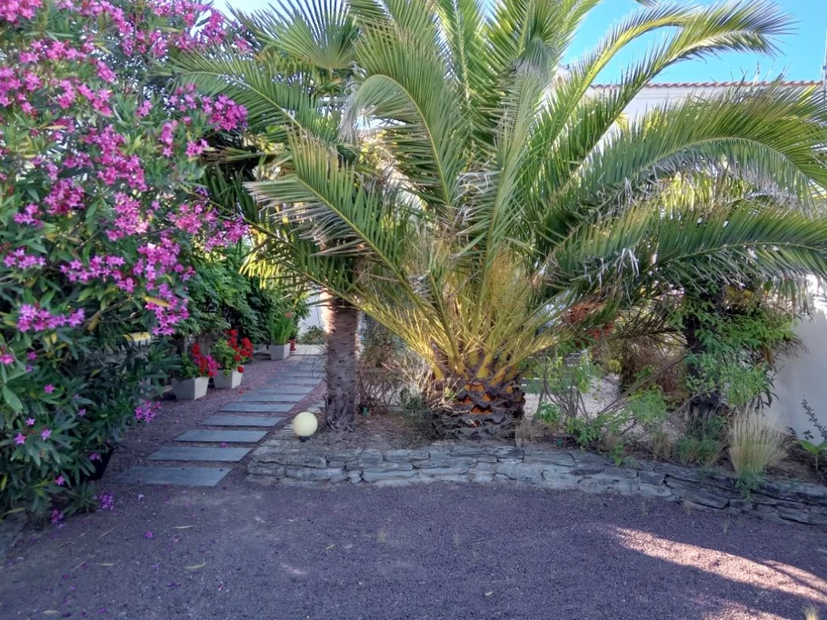 Cheminement entre place de stationnement et arrière de la maison