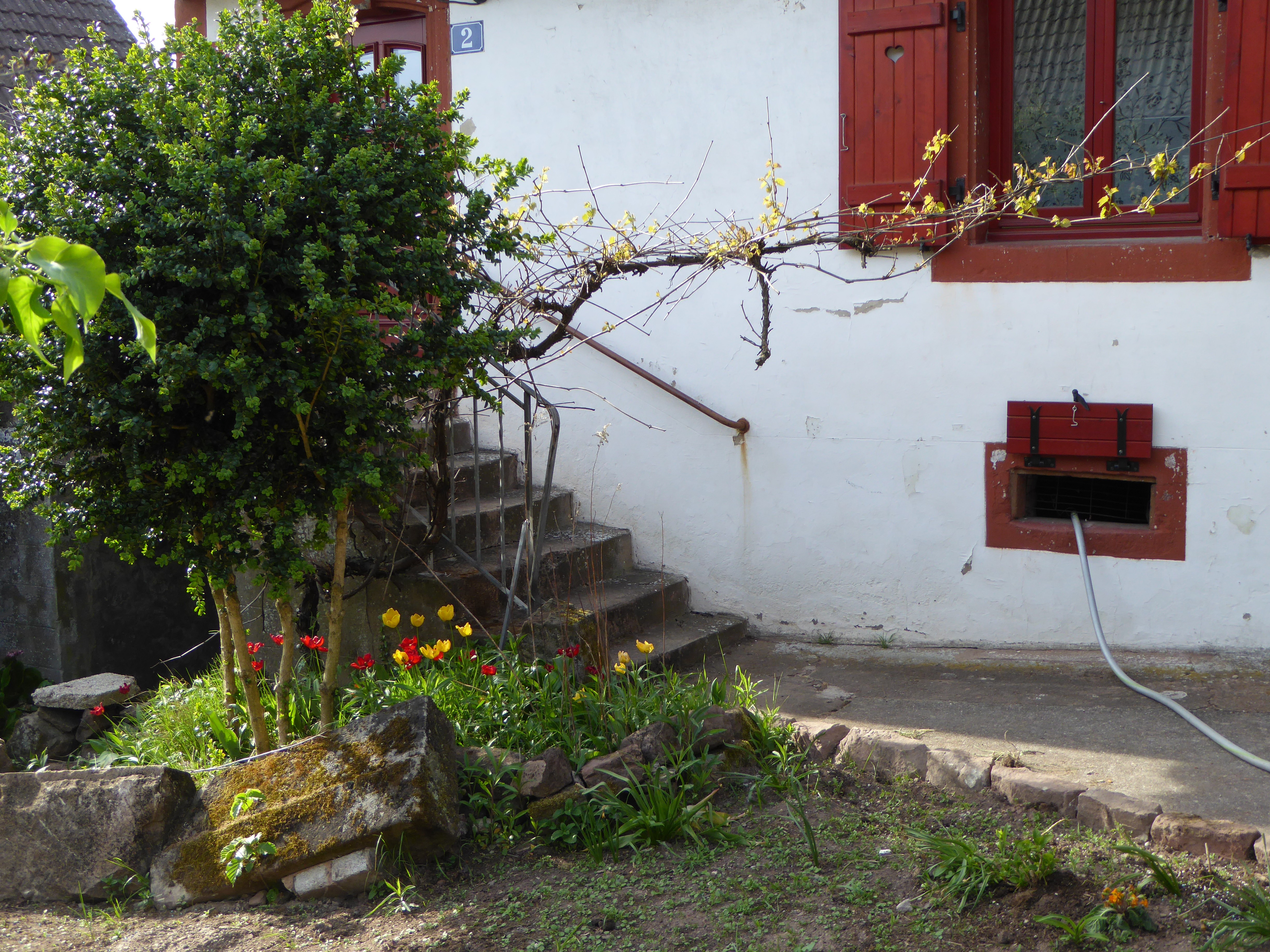 Photo n° 9 of the location