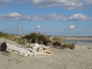plage à 4 km