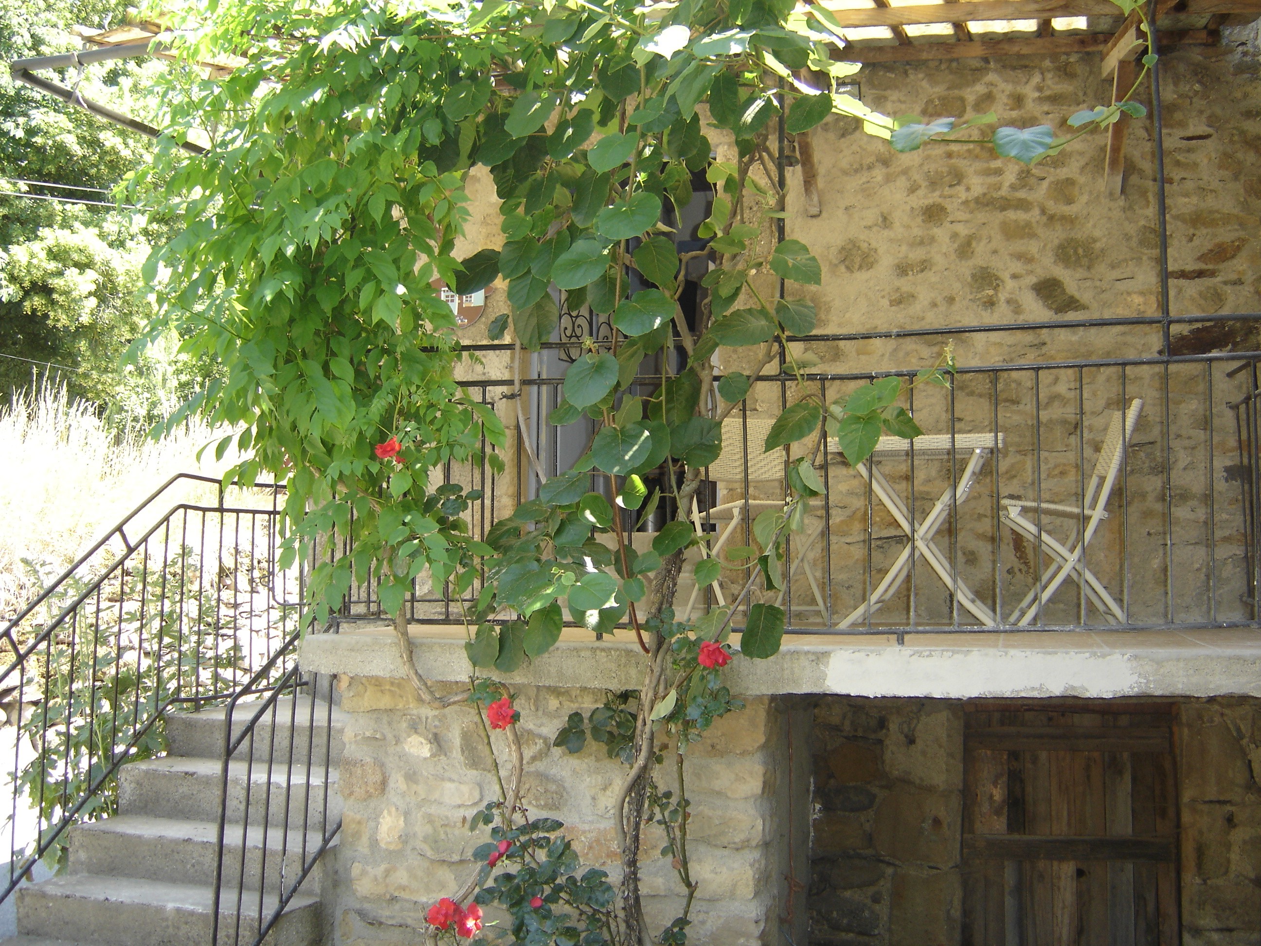 terrasse ombragée