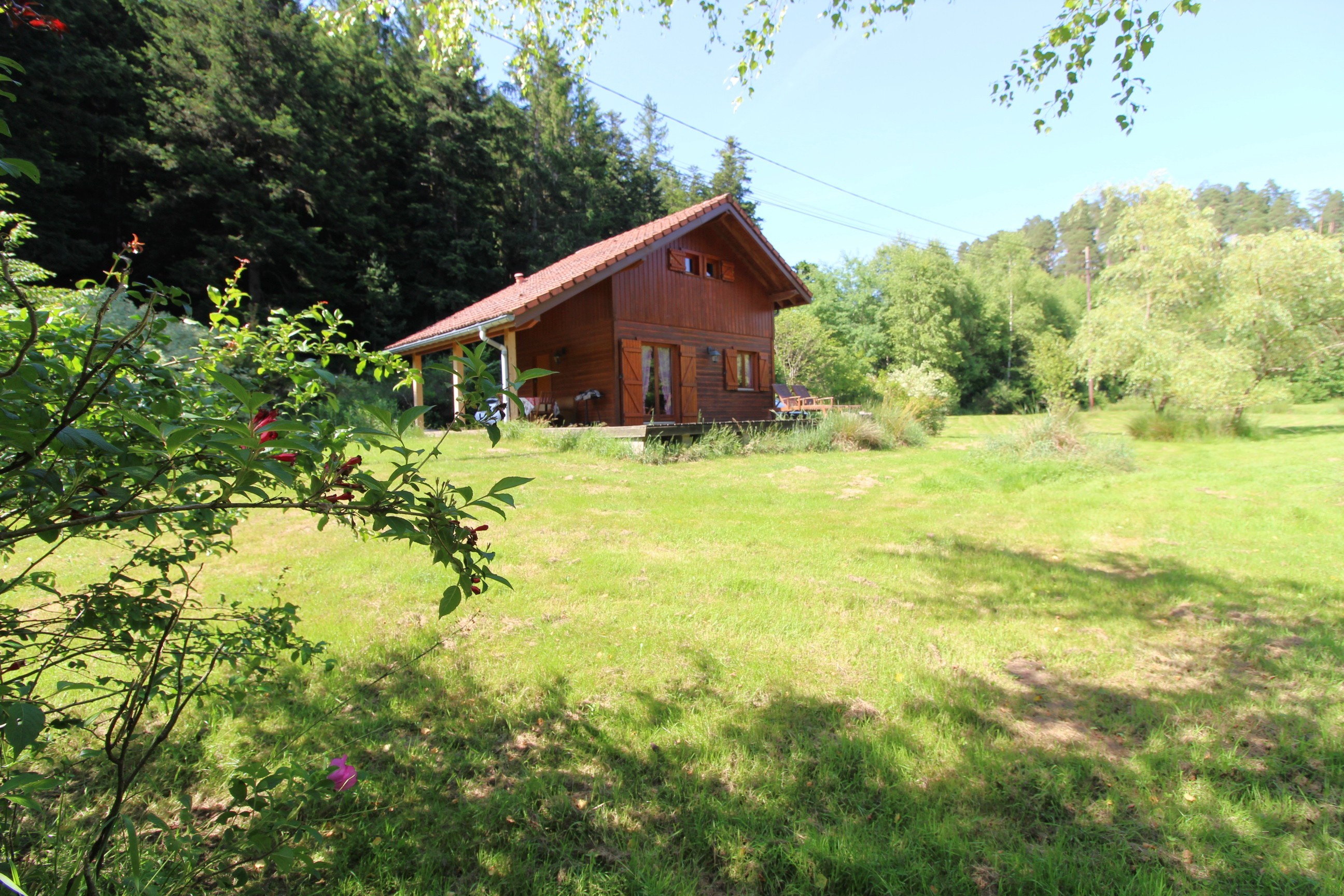 Chalet en bois tout confort aux Rouges-Eaux – Nature, jardin, randonnées Vosges