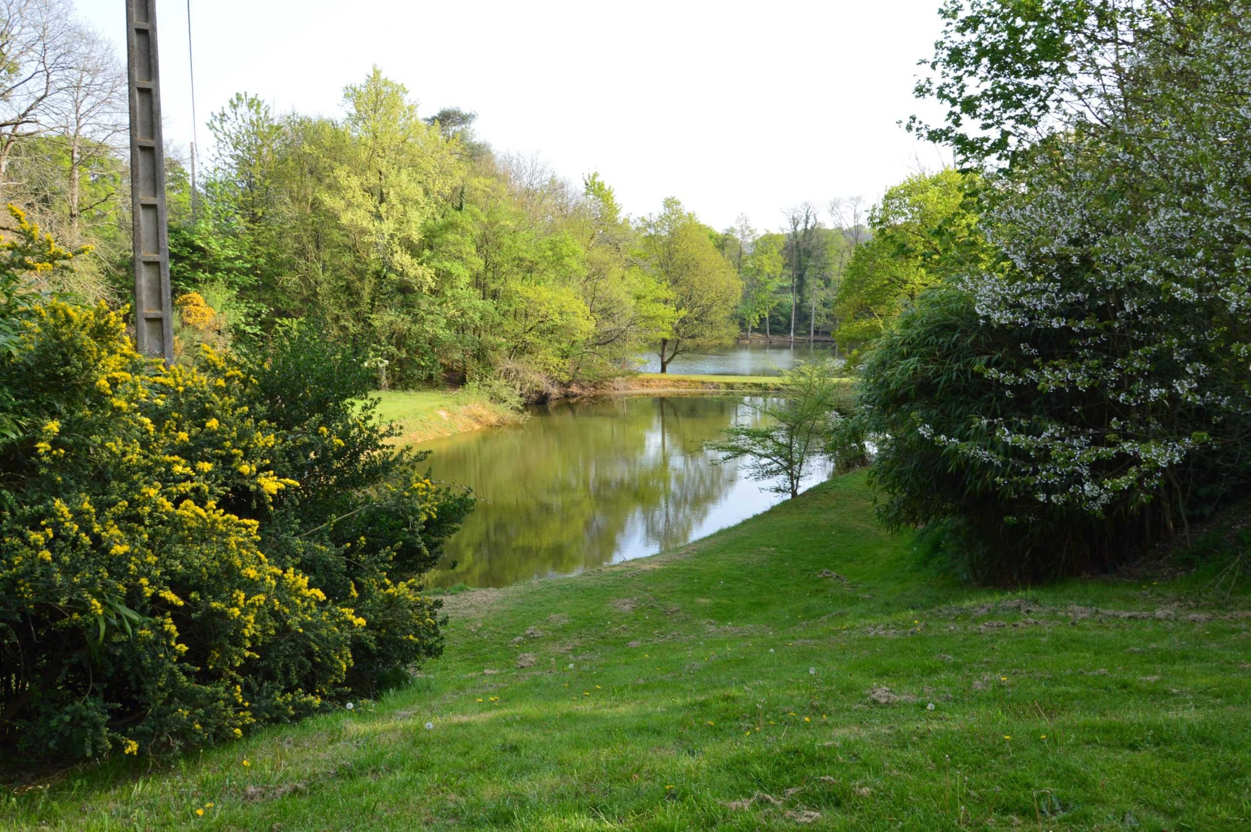 Photo n° 8 of the location