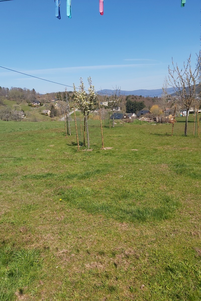 Photo n° 15 of the location