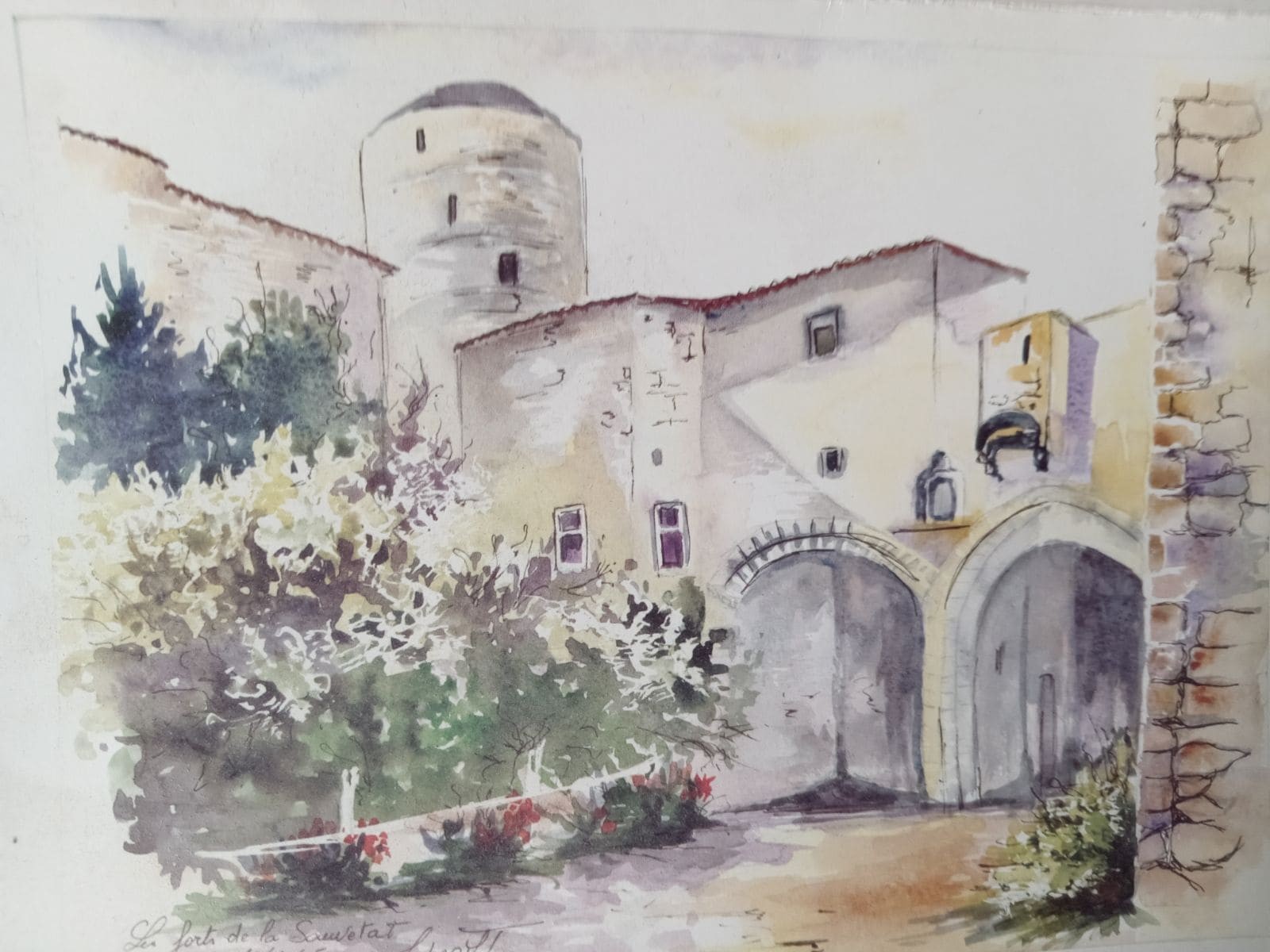 Photo n° 11 de la location