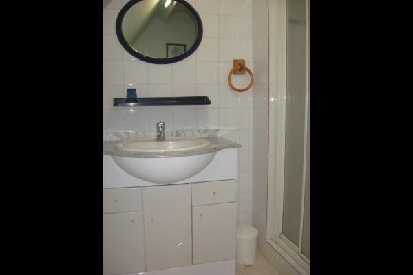 salle d'eau : meuble vasque et la douche, les wc sont indépendants.