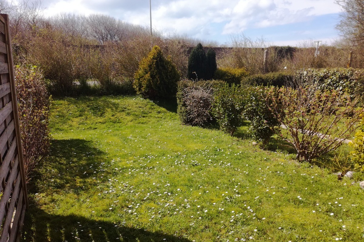 Le jardin
