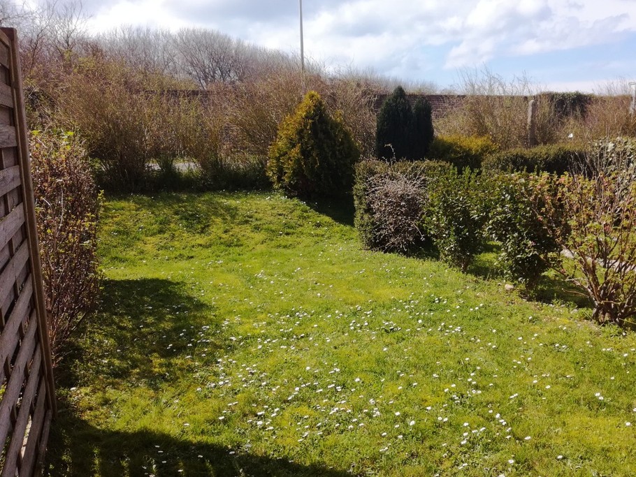 Le jardin
