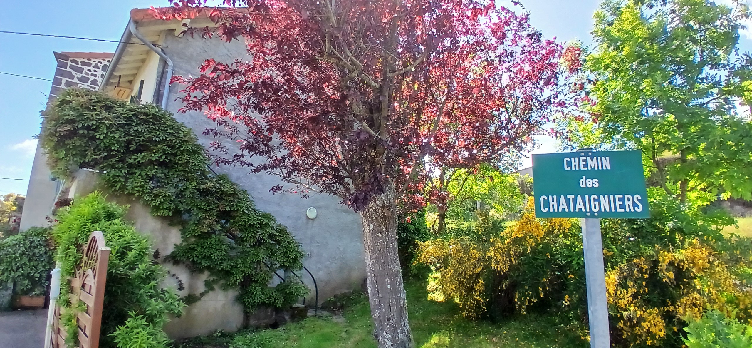 Gîte "Les Châtaigniers", Sarcenat, Orcines, Puy de Dôme, Auvergne - Vue sur le jardin