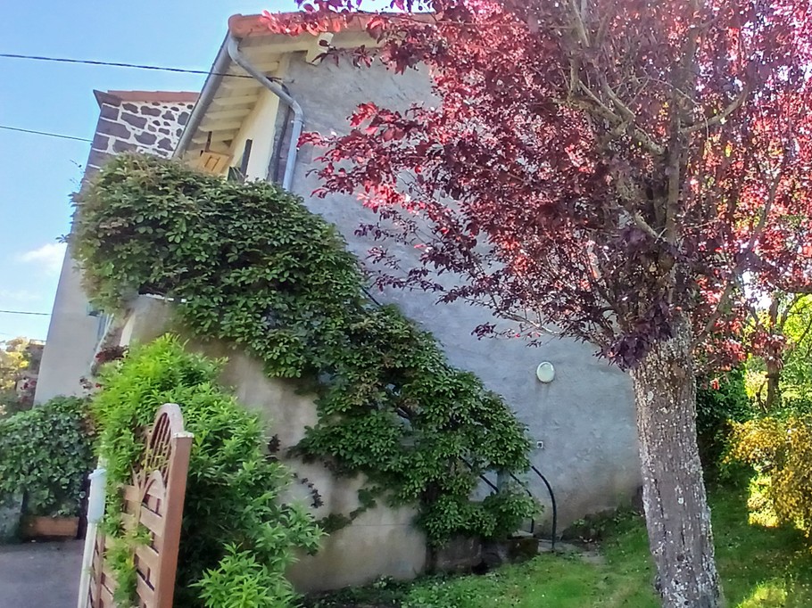 Gîte "Les Châtaigniers", Sarcenat, Orcines, Puy de Dôme, Auvergne - Vue sur le jardin