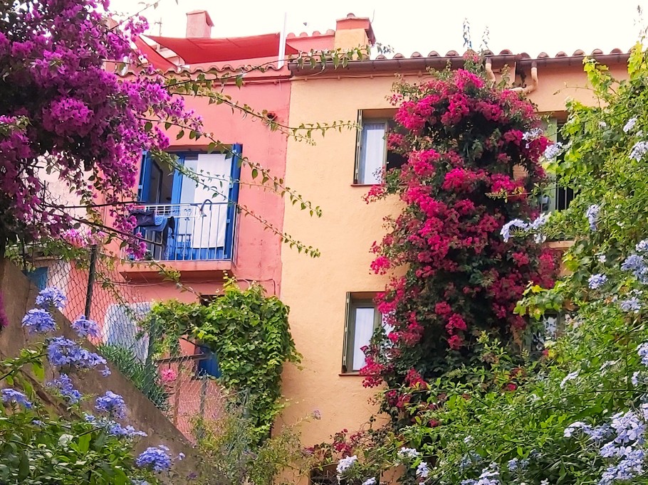 Mouré district