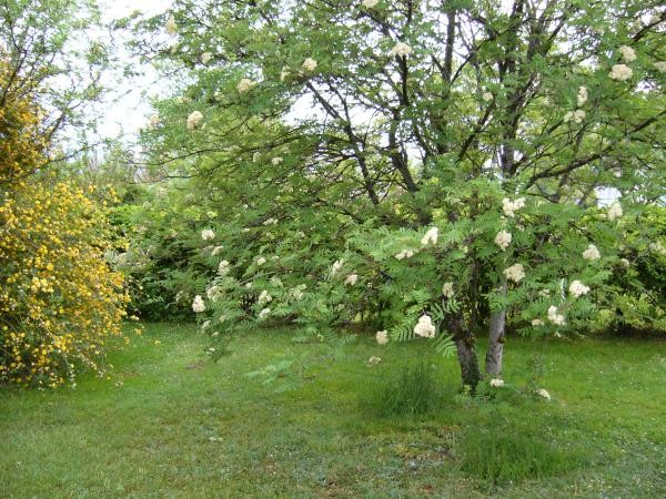 Photo n° 19 de la location