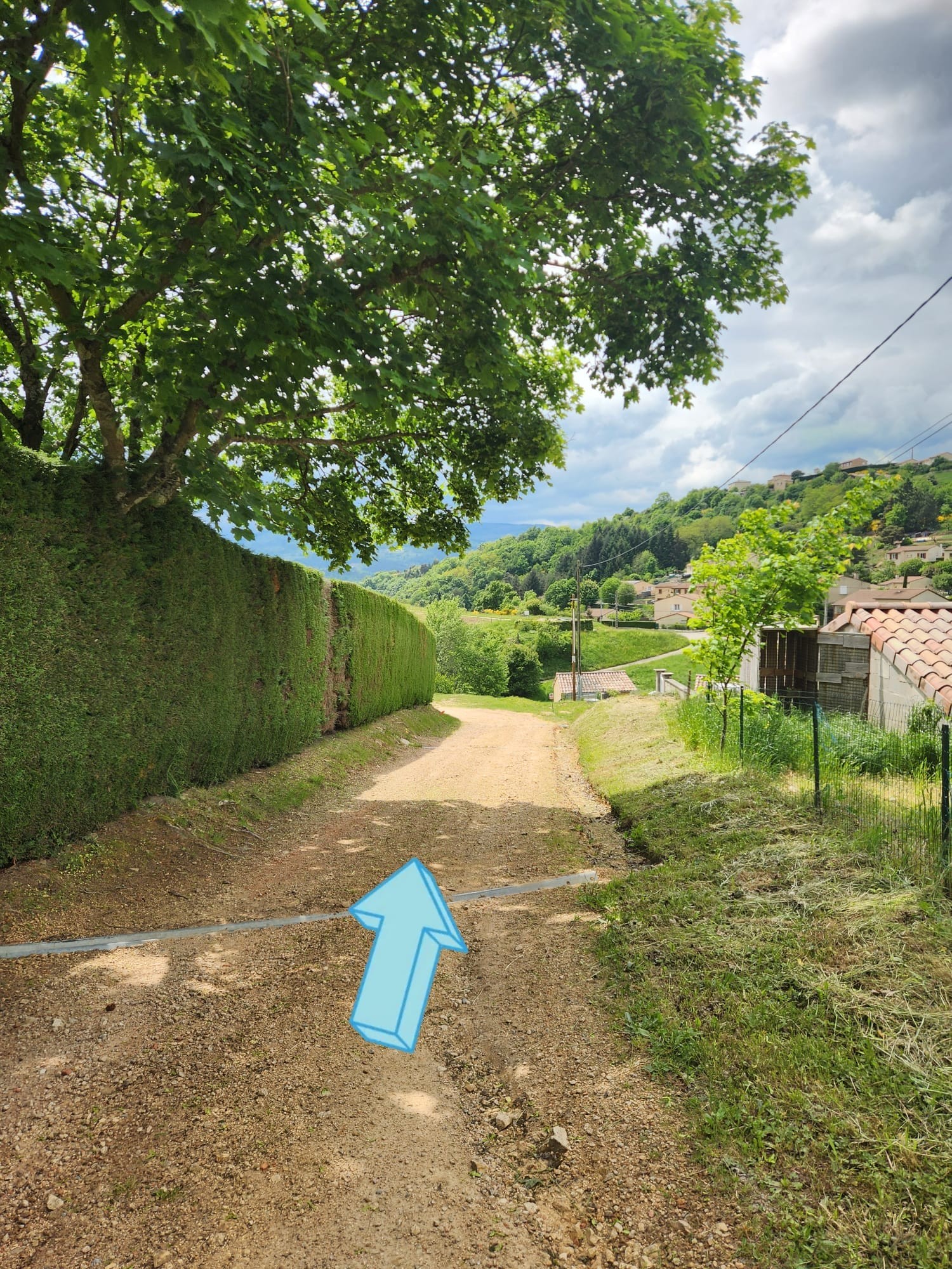 Descendre le long de la haie