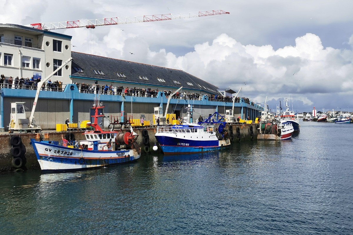 Belvédère au Guilvinec pour assister au retour des bateaux de pêche