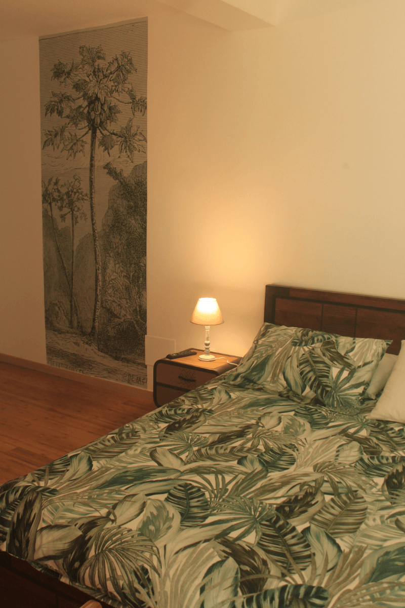 Photo n° 4 de la location