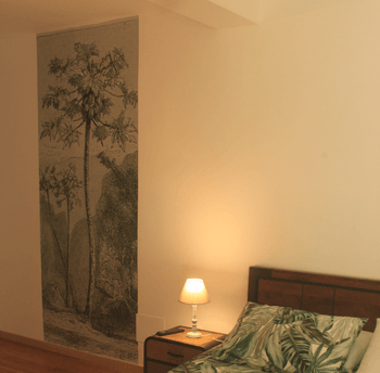Photo n° 4 de la location