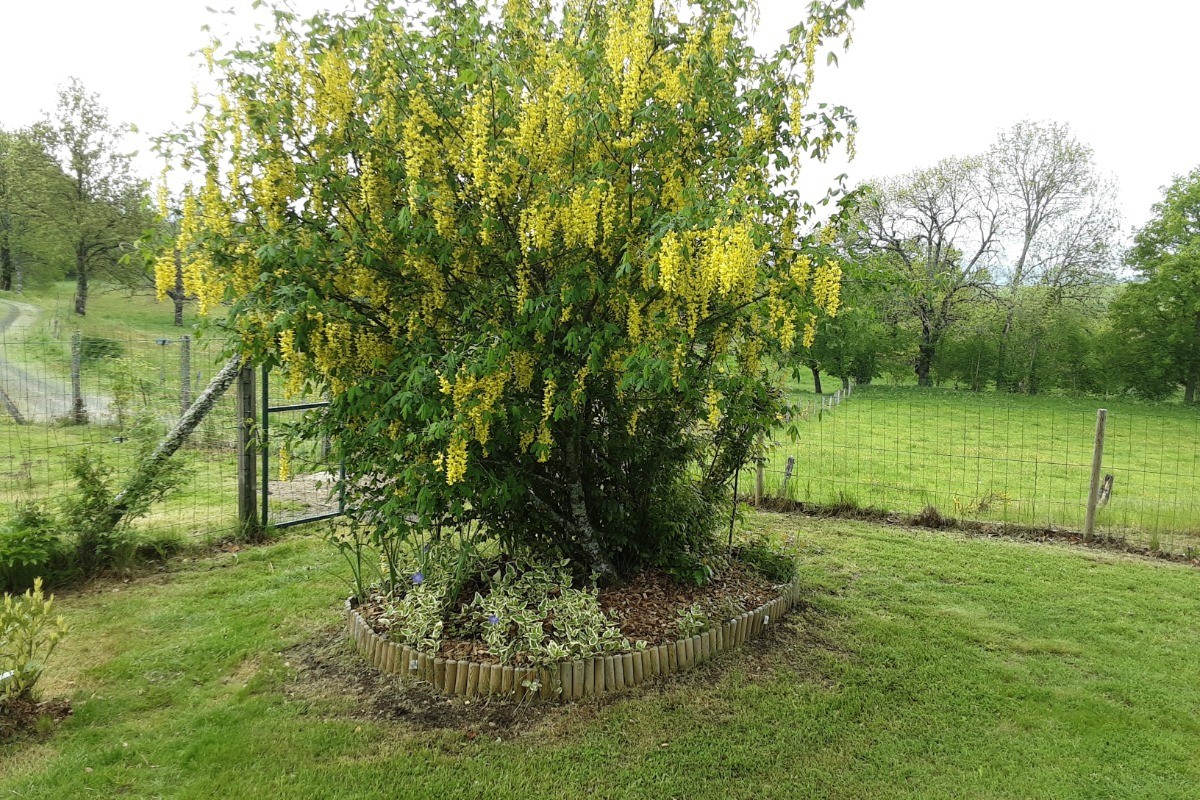 Photo n° 20 of the location